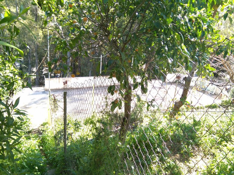 Plot for Sale in Marbella, Malaga 7