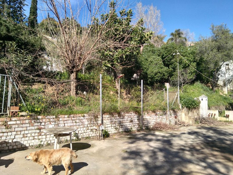 Plot for Sale in Marbella, Malaga 8