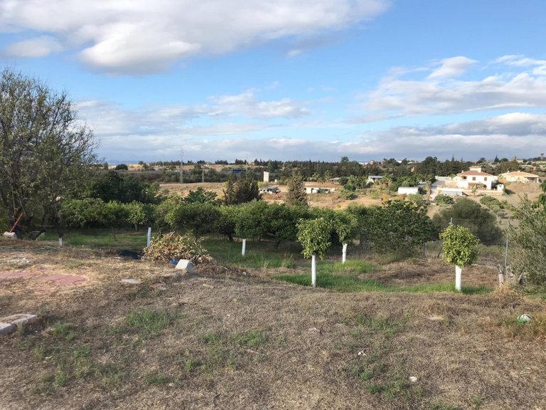 Plot for Sale in Estepona, Malaga 1