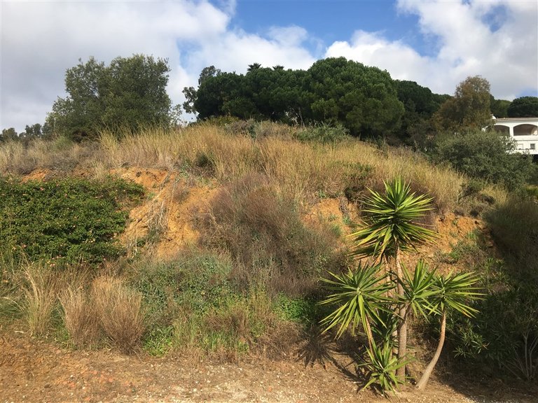 Plot for Sale in Mijas, Malaga 2