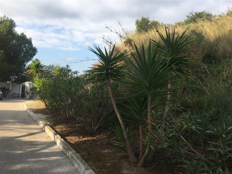 Plot for Sale in Mijas, Malaga 4