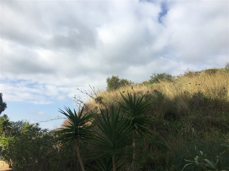 Plot for Sale in Mijas, Malaga 6