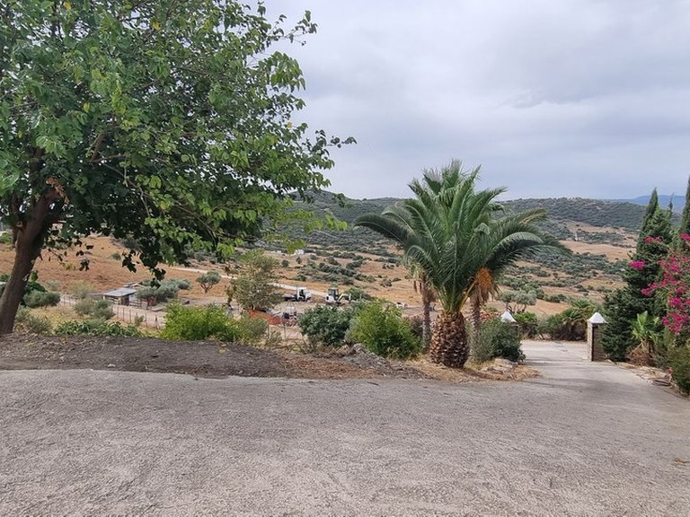 Villa for Sale in Casares, Malaga 5