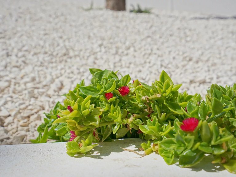 Villa for Sale in Moraira, Alicante 45