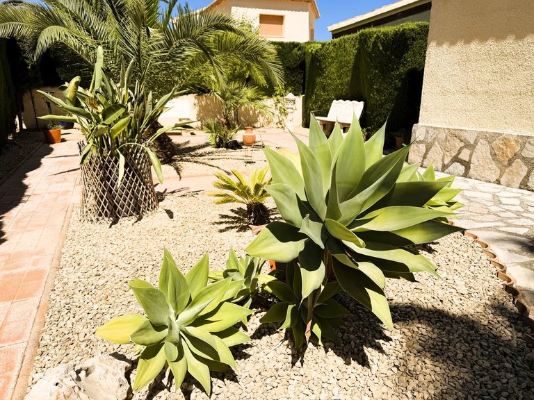 Villa for Sale in Calp, Alicante 19
