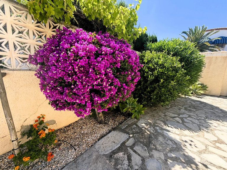 Villa for Sale in Calp, Alicante 18