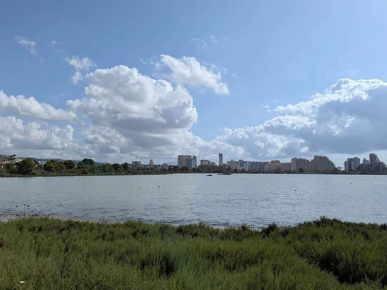 Villa for Sale in Calp, Alicante 31