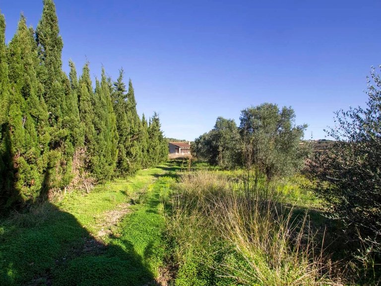 Villa for Sale in Teulada, Alicante 8