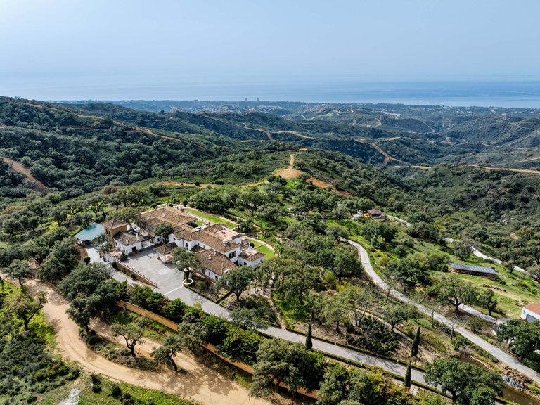 Villa for Sale in Marbella Este, Marbella, Malaga 50