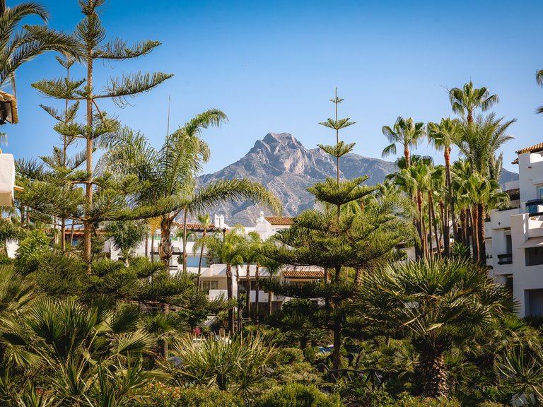 Apartment for Sale in Marbella, Malaga 14