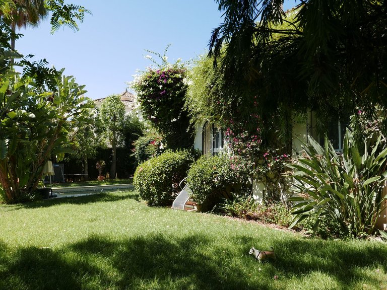 Villa for Sale in Nueva Andalucia, Marbella, Malaga 9
