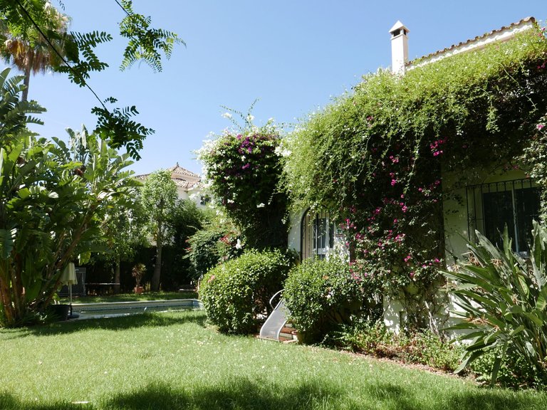 Villa for Sale in Nueva Andalucia, Marbella, Malaga 11