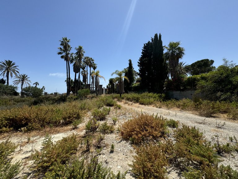 Plot for Sale in Nueva Andalucia, Marbella, Malaga 2