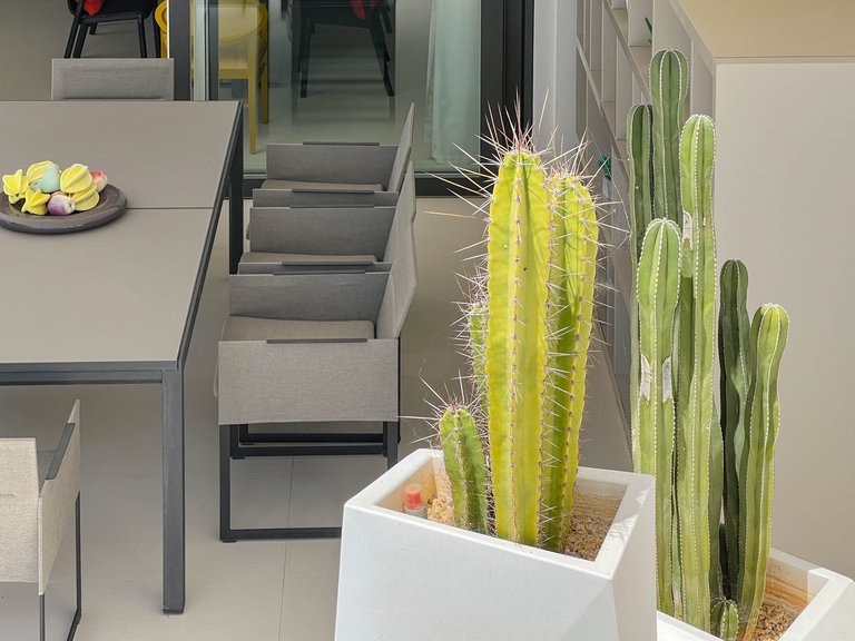 Villa for Sale in La Zagaleta, Benahavis, Malaga 14