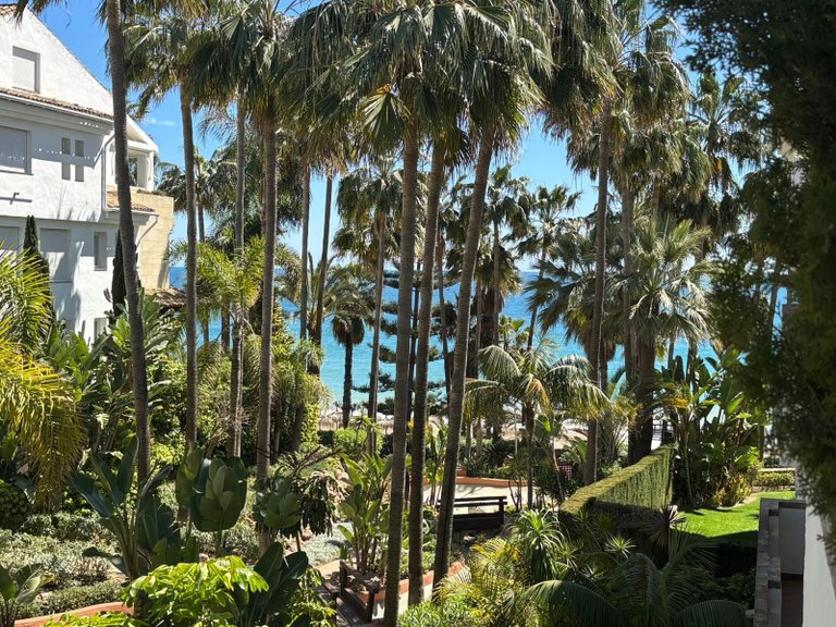 Apartment for Sale in Marbella Golden Mile, Marbella, Malaga 8