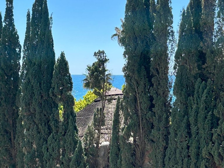 Apartment for Sale in Marbella Golden Mile, Marbella, Malaga 15