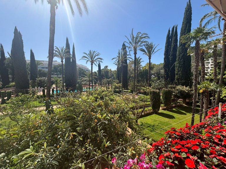 Apartment for Sale in Marbella, Malaga 13