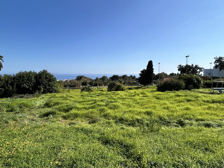 Villa for Sale in Marbella Golden Mile, Marbella, Malaga 6
