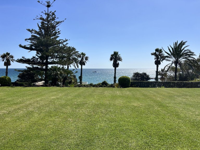 Villa for Rent in Marbella Golden Mile, Marbella, Malaga 5