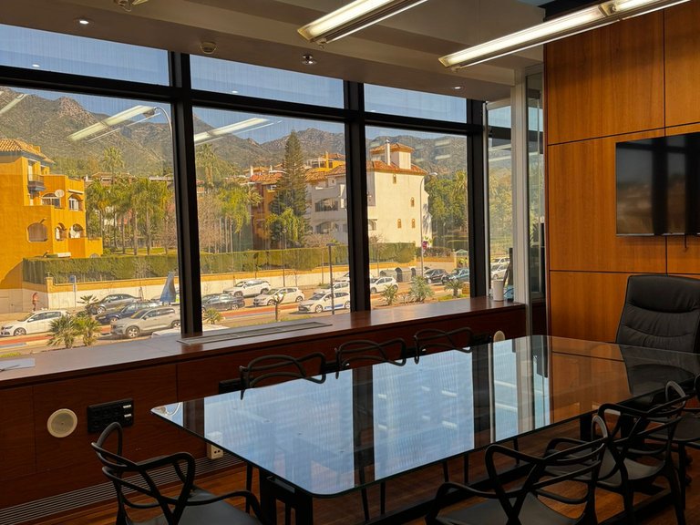Commercial for Rent in Marbella Golden Mile, Marbella, Malaga 2