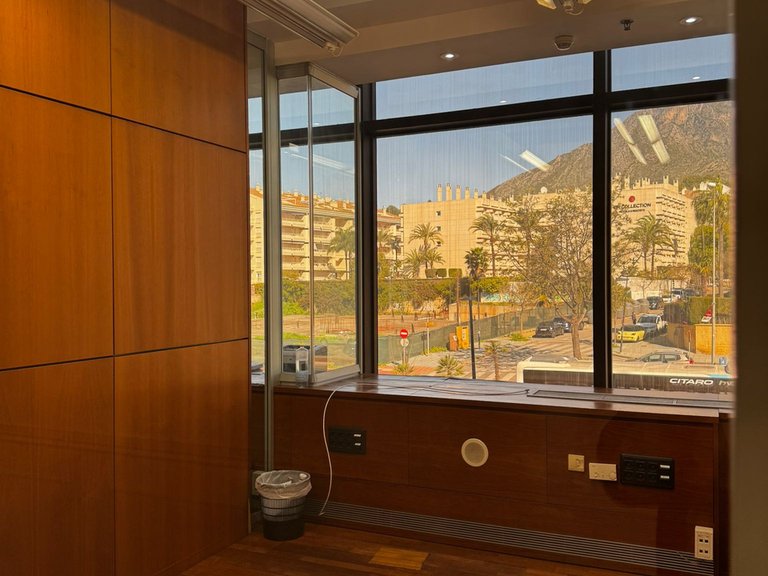 Commercial for Rent in Marbella Golden Mile, Marbella, Malaga 8