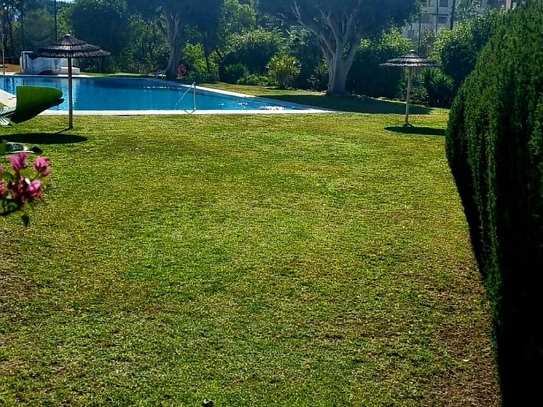 Apartment for Sale in Benahavis, Malaga 5