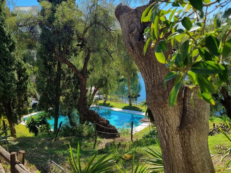 Apartment for Sale in Benahavis, Malaga 12