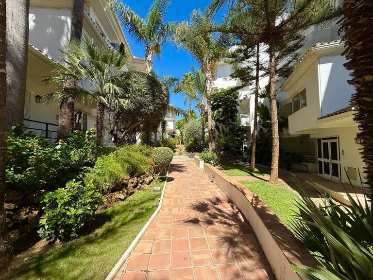Apartment for Rent in Guadalmina Baja, San Pedro De Alcantara, Malaga 14