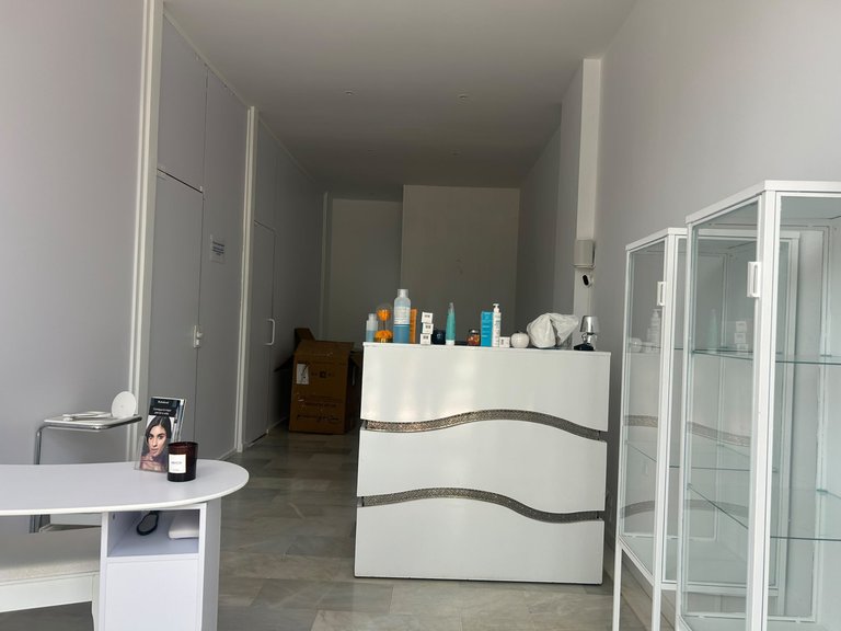 Commercial for Rent in Marbella Golden Mile, Marbella, Malaga 4