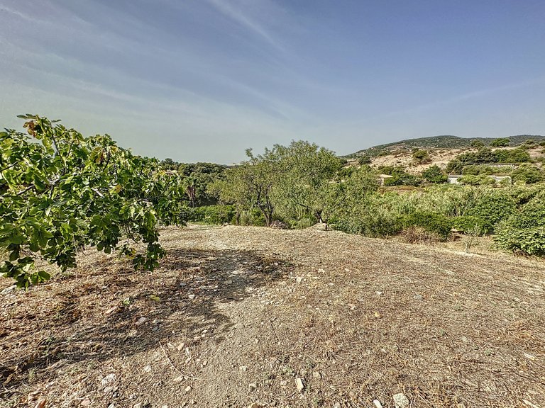Country House for Sale  in Estepona, Malaga 40