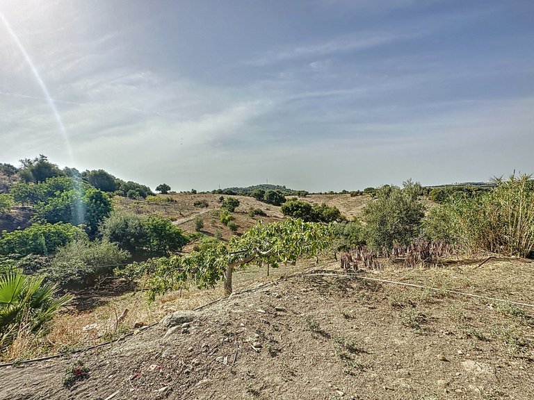Country House for Sale  in Estepona, Malaga 36