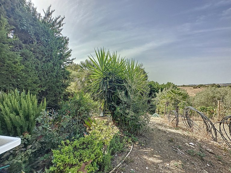 Country House for Sale  in Estepona, Malaga 30