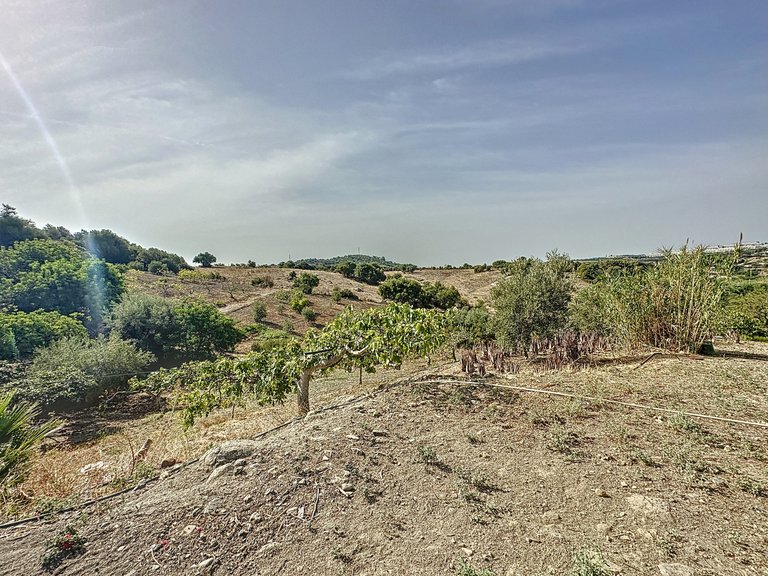 Country House for Sale  in Estepona, Malaga 35