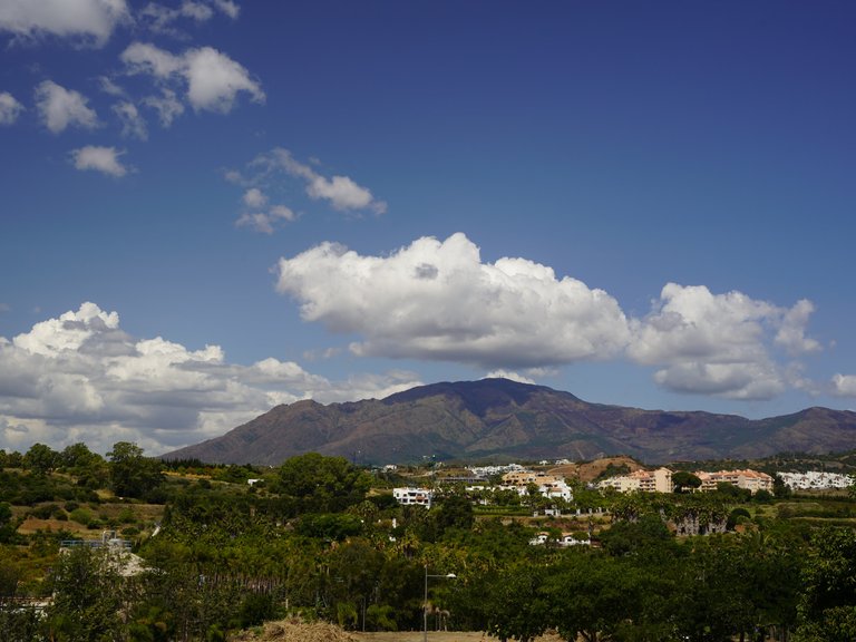 Country House for Sale  in Estepona, Malaga 31