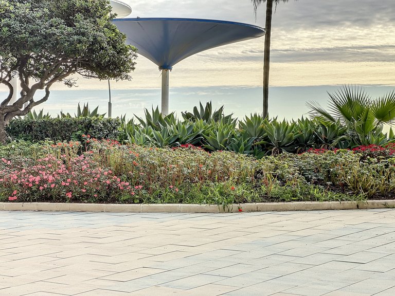 Town House for Sale  in Estepona, Malaga 23