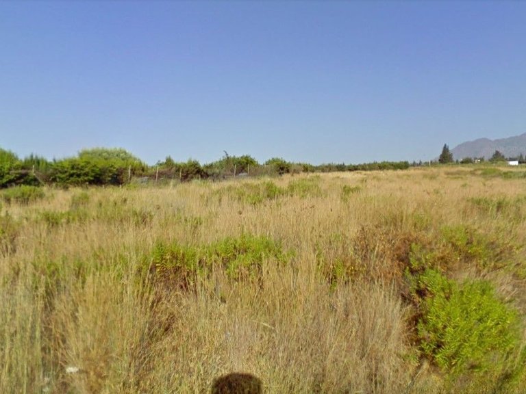 Plot for Sale  in Estepona, Malaga 1