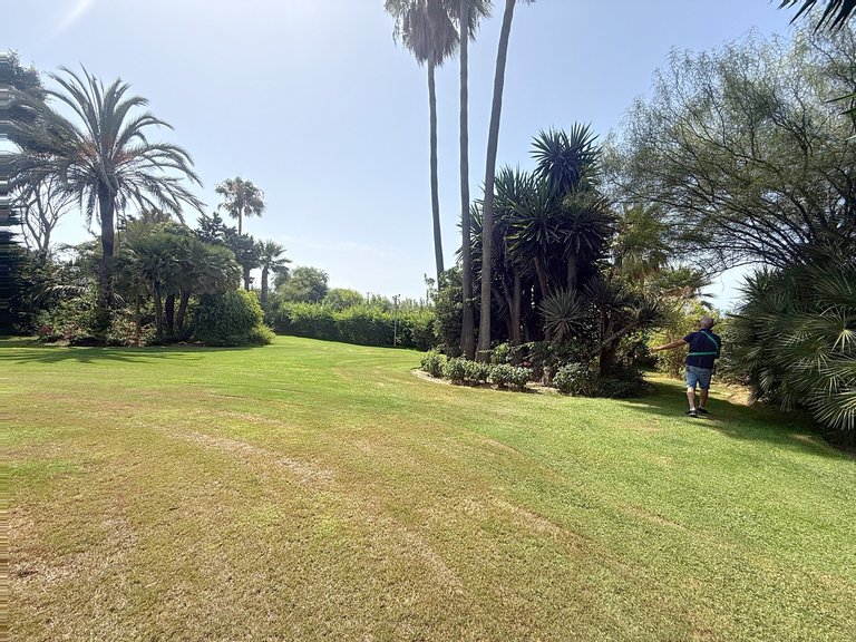 Villa for Sale  in Estepona, Malaga 31