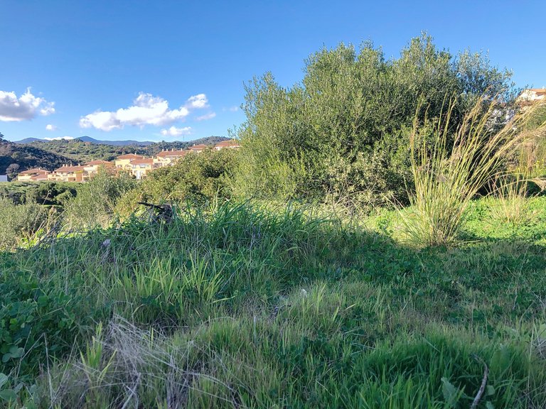 Plot for Sale  in Estepona, Malaga 11