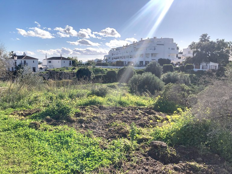 Plot for Sale  in Estepona, Malaga 4