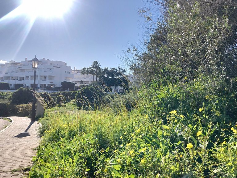 Plot for Sale  in Estepona, Malaga 13