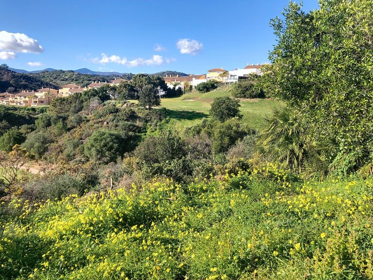 Plot for Sale  in Estepona, Malaga 9
