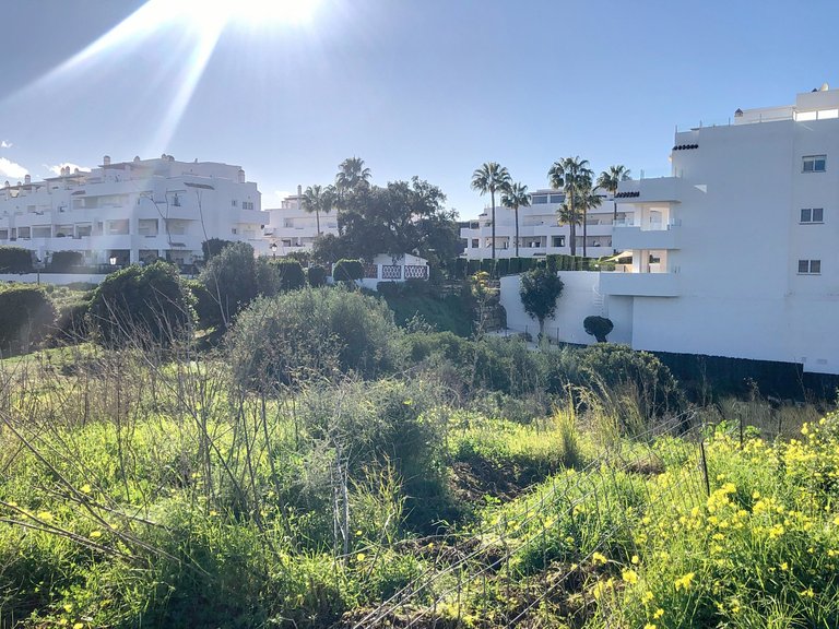 Plot for Sale  in Estepona, Malaga 7