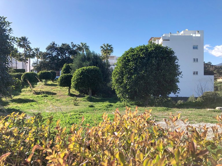 Plot for Sale  in Estepona, Malaga 12