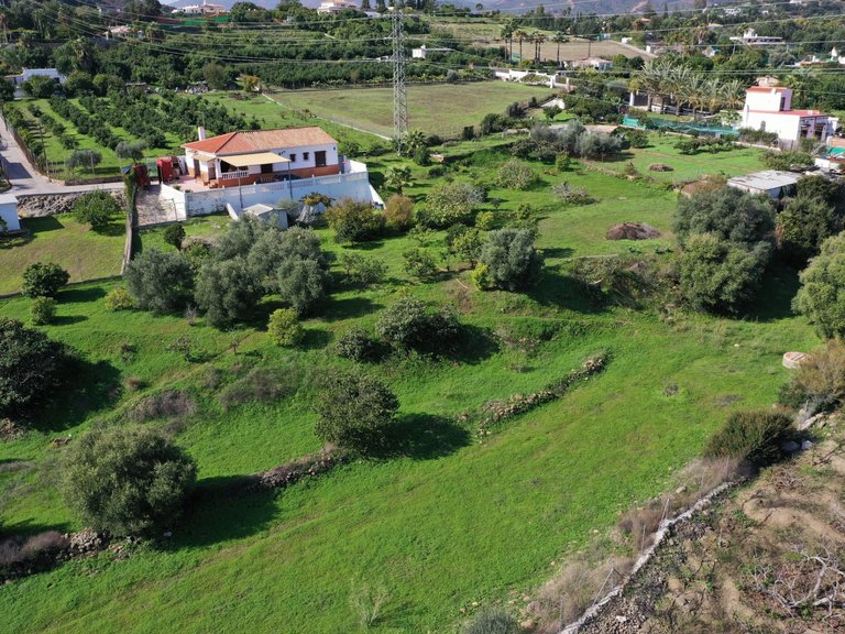 Country House for Sale  in Estepona, Malaga 36
