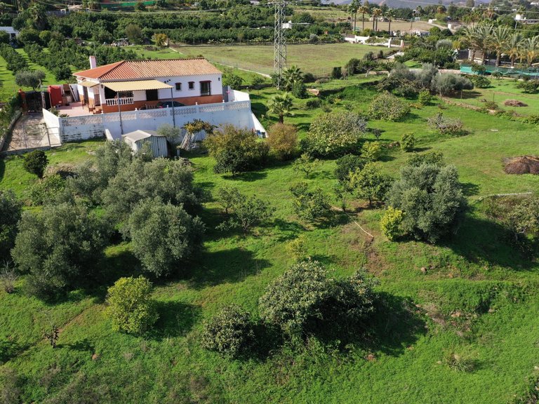 Country House for Sale  in Estepona, Malaga 34