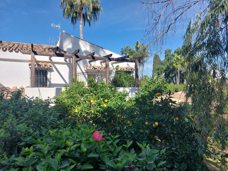 Villa for Sale  in Estepona, Malaga 51