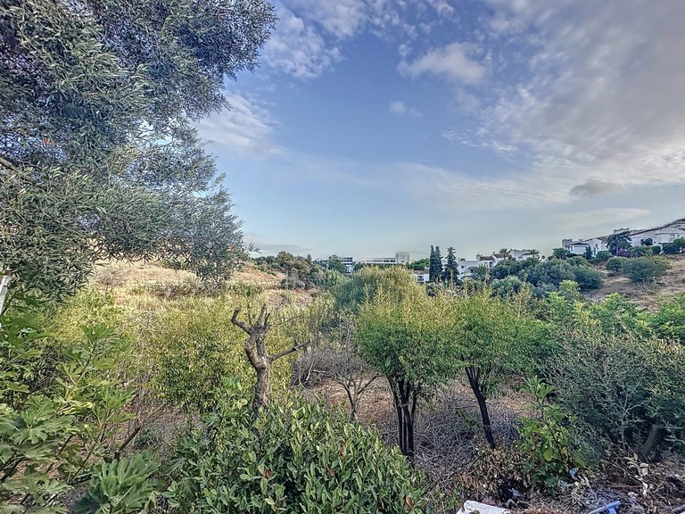 Country House for Sale  in Estepona, Malaga 25