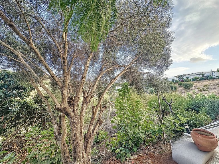 Country House for Sale  in Estepona, Malaga 28