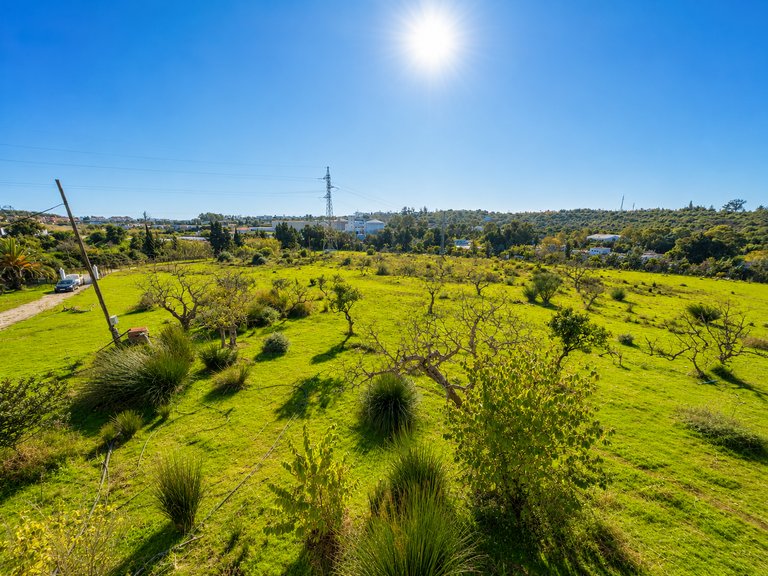 Country House for Sale  in Estepona, Malaga 21