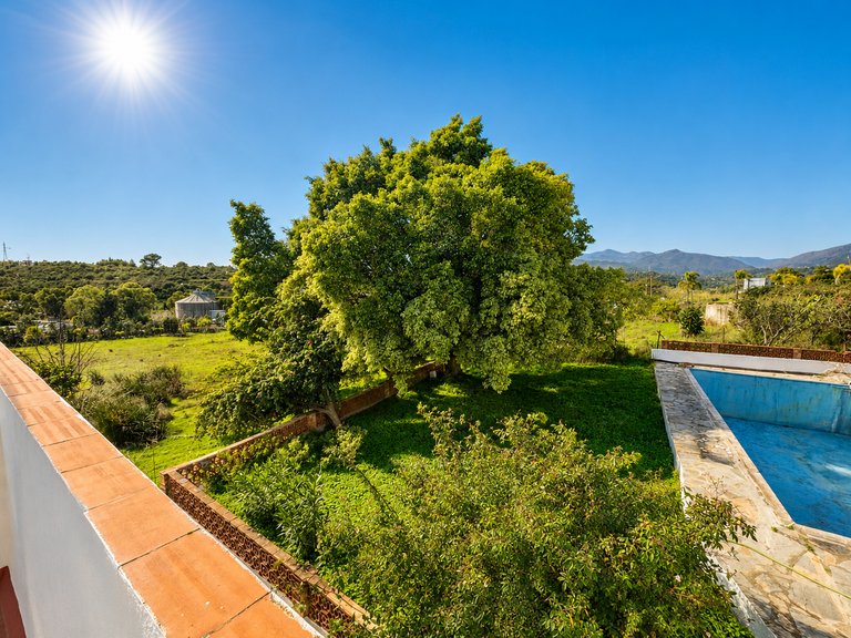 Country House for Sale  in Estepona, Malaga 1